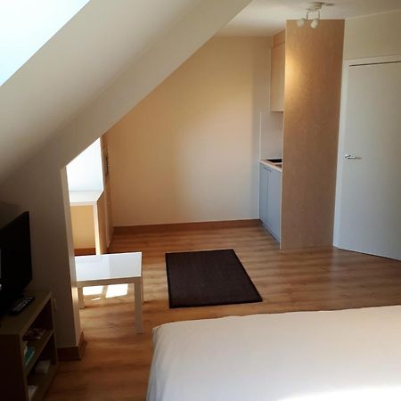 Guesthouse Dusart ハッセルト エクステリア 写真