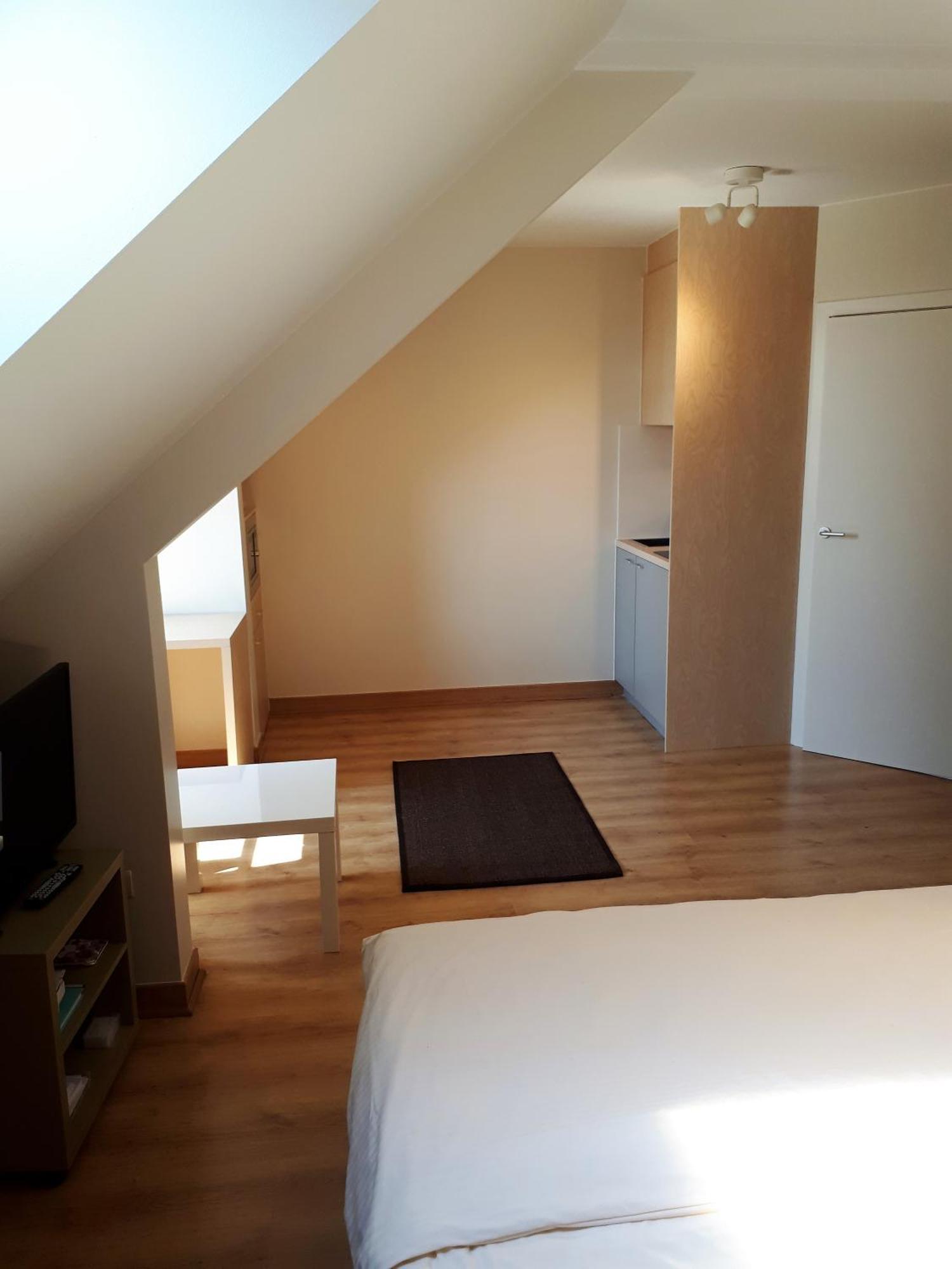 Guesthouse Dusart ハッセルト エクステリア 写真