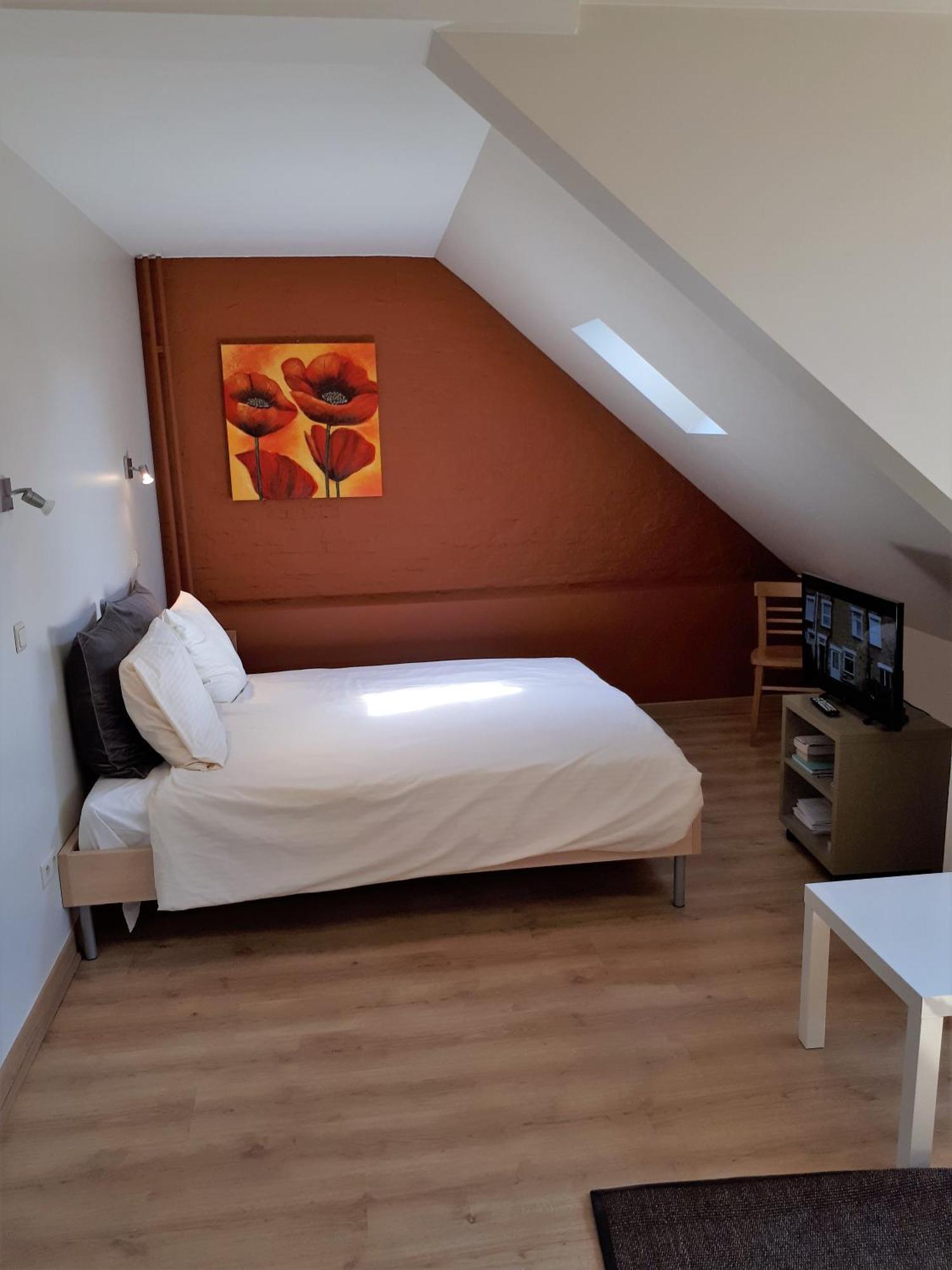 Guesthouse Dusart ハッセルト エクステリア 写真